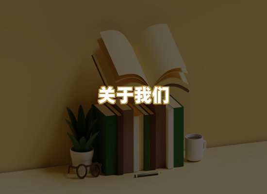 关于我们